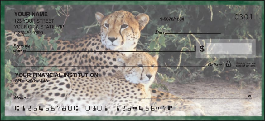 Enlarged view of safari checks