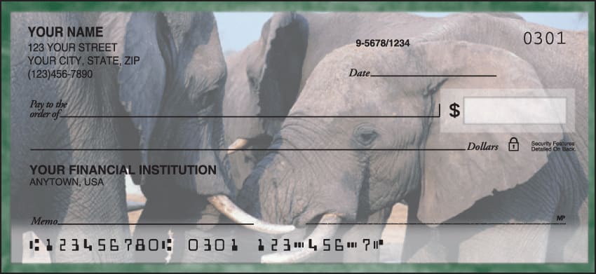 Enlarged view of safari checks