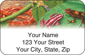 Reptilian Address Labels – click to view product detail page