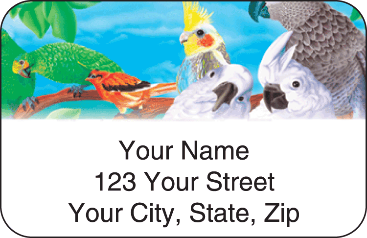 birds of paradise address labels - click to preview