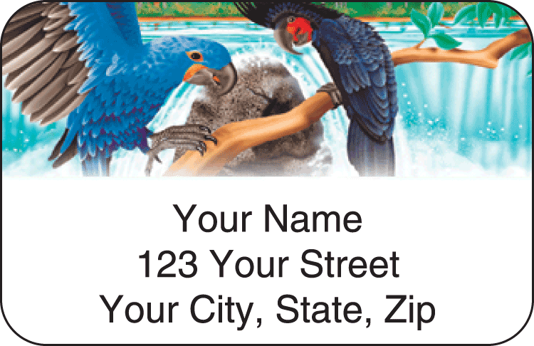 Enlarged view of birds of paradise address labels