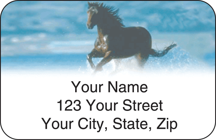 Enlarged view of horse enthusiast address labels