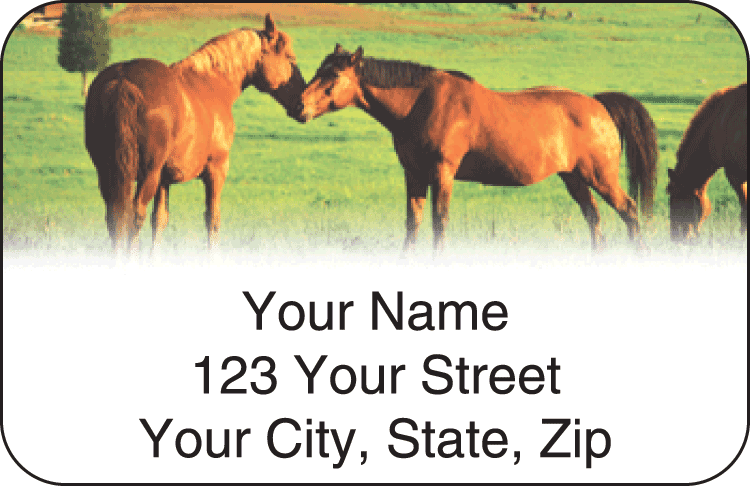 Enlarged view of horse enthusiast address labels