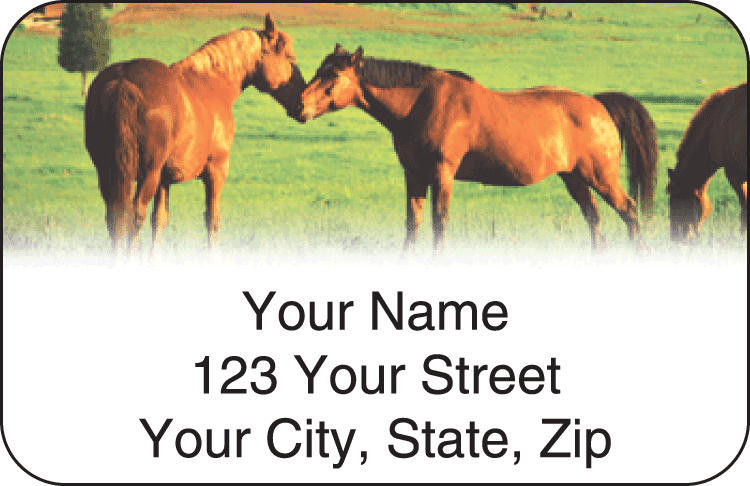 horse enthusiast address labels - click to preview