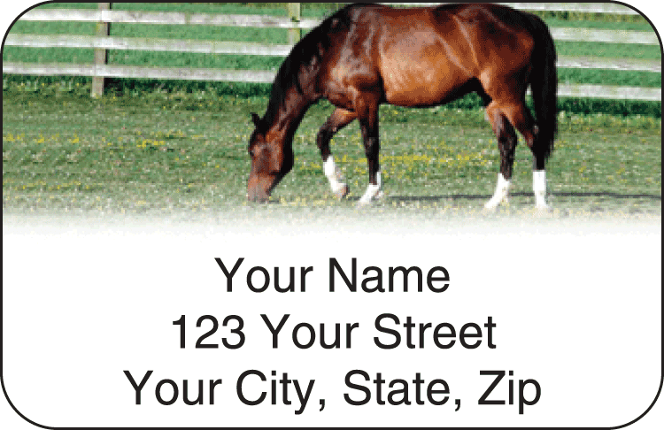 horse enthusiast address labels - click to preview