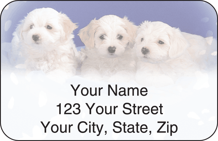 Enlarged view of pet pals address labels