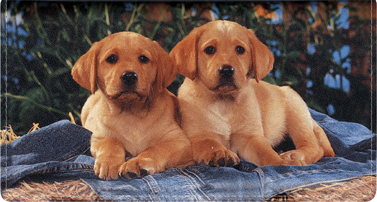 Puppy Pals Leather Checkbook Cover - click to view larger image