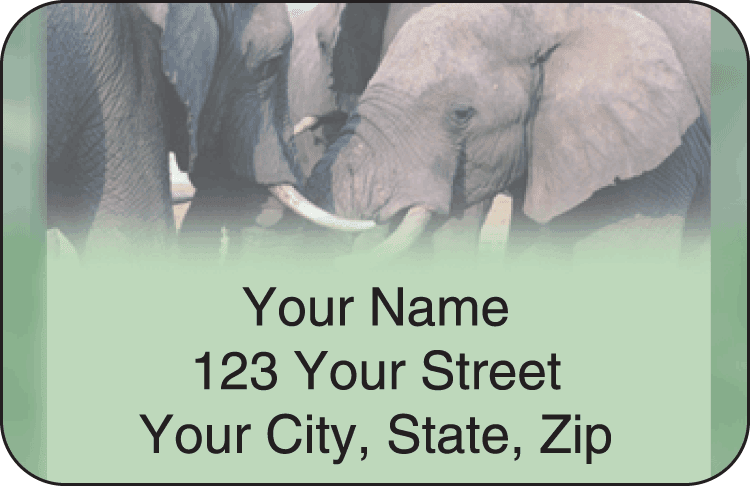 safari address labels - click to preview