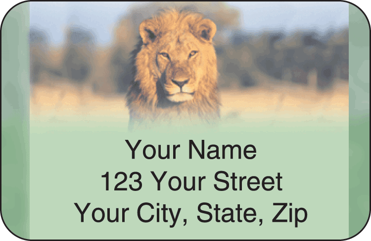 safari address labels - click to preview