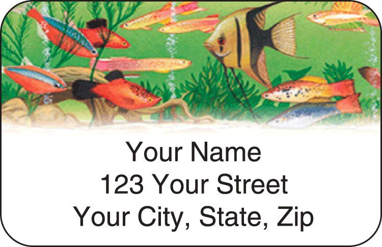 Enlarged view of tropical aquarium address labels