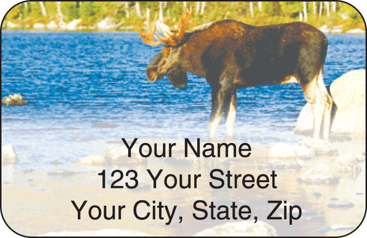 Wildlife Address Labels - click to view larger image