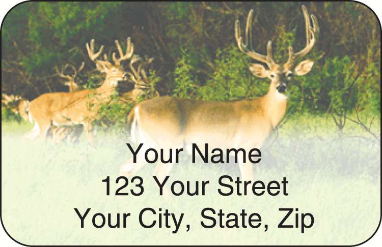 Enlarged view of wildlife address labels