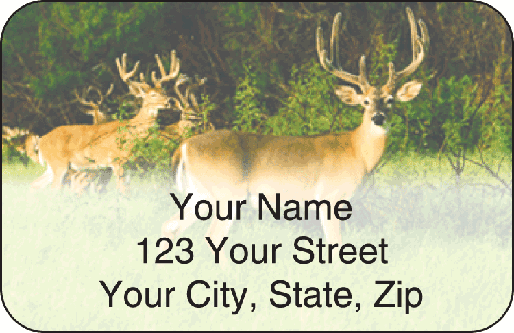 wildlife address labels - click to preview