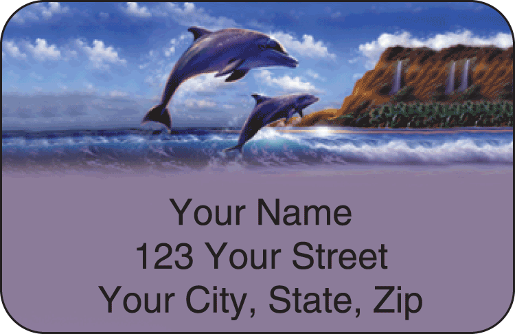 Dolphins Address Labels