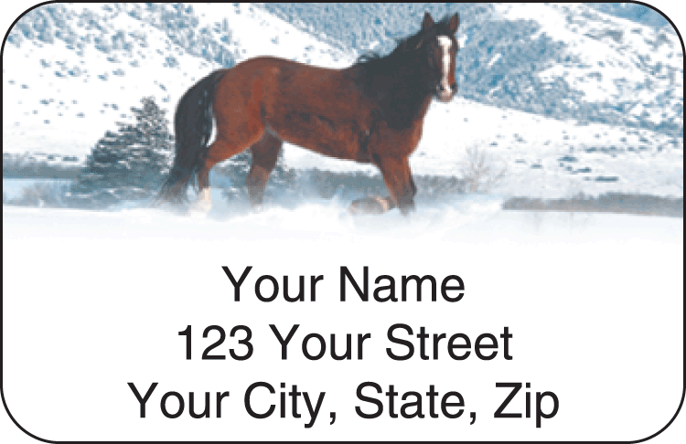 Horse Enthusiast Address Labels