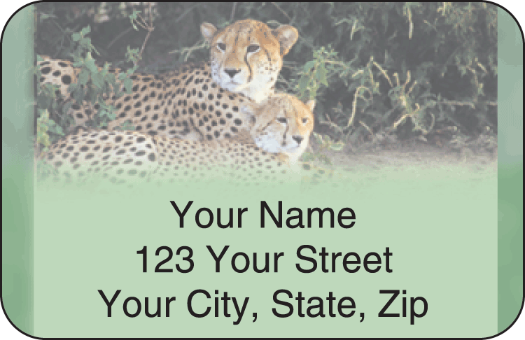 Safari Address Labels