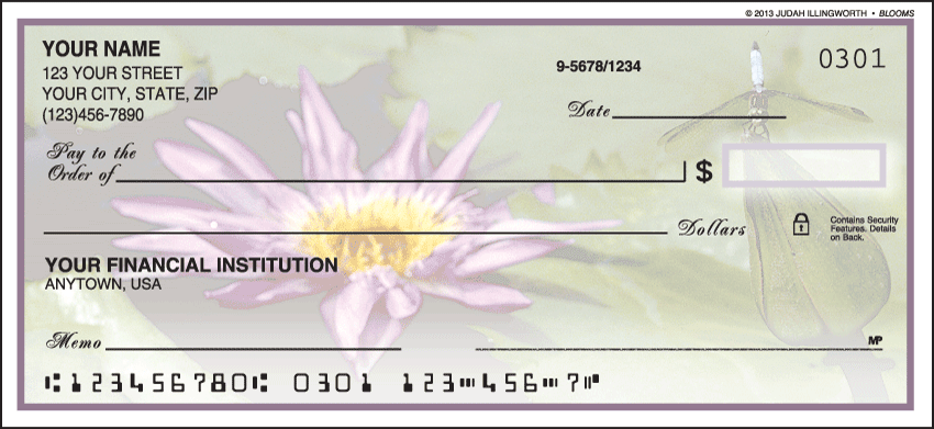 Blooms Checks - 1 box - Singles